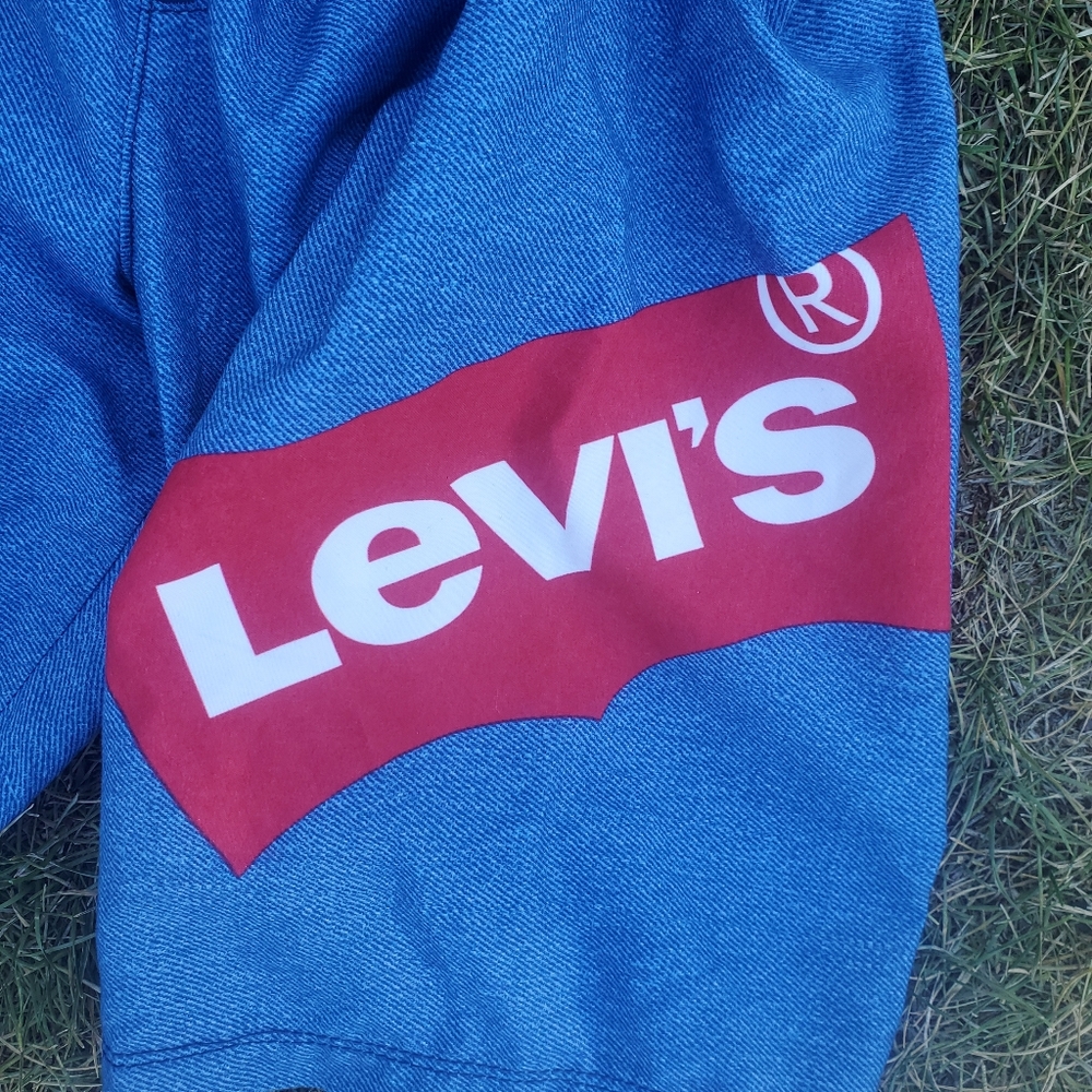 Levi's Swim Trunks - Picture 2 of 3